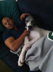This is Bentley, our Great Dane. He needs his morning cuddle or he gets real cranky.