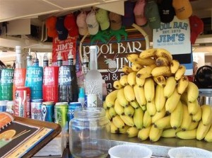 This place is a local favorite in HHI. Jim has been whipping up hundreds of different smoothie concoctions since before I was born. True story.